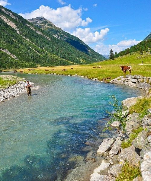 Pêche à la mouche dans le Krimmler Achental - Salzbourg - Autriche
