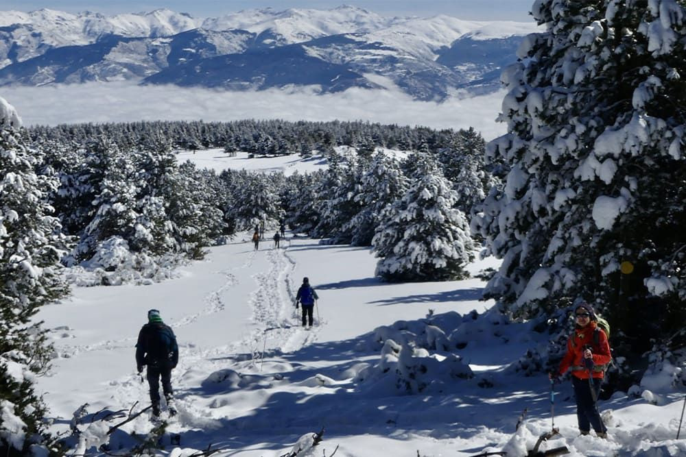 Foresta e montagne in inverno - Pirenei Orientali - Francia