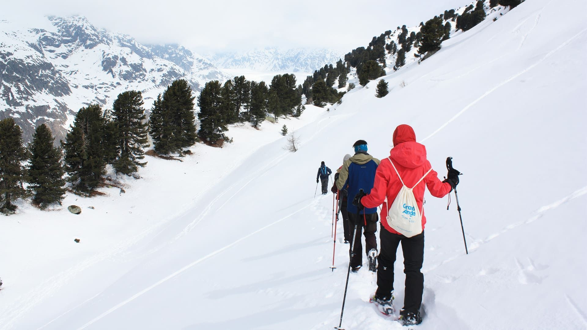 Passeggiata nel bosco vicino al ghiacciaio dell’Aletsch - Svizzera