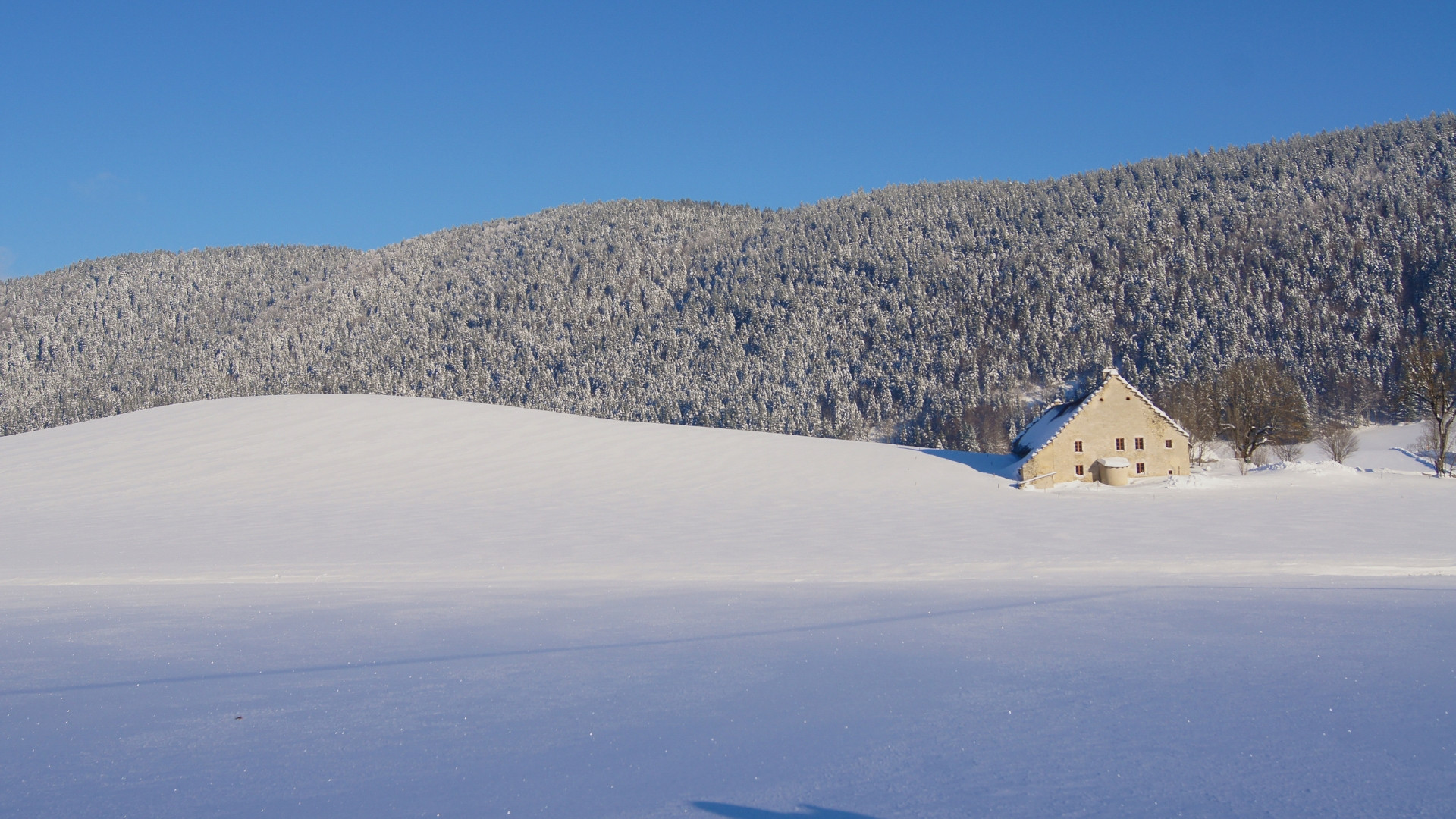 Escursione e cinema nel Vercors