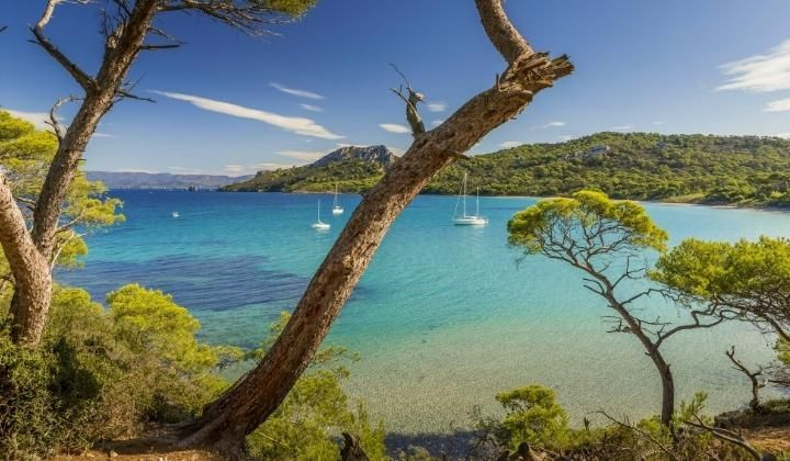 © Adobe Stock Spiaggia di Notre-Dame tra i pini - Porquerolles - Provenza