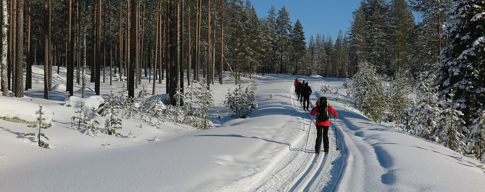 Fondisti nella foresta innevata - Finlandia