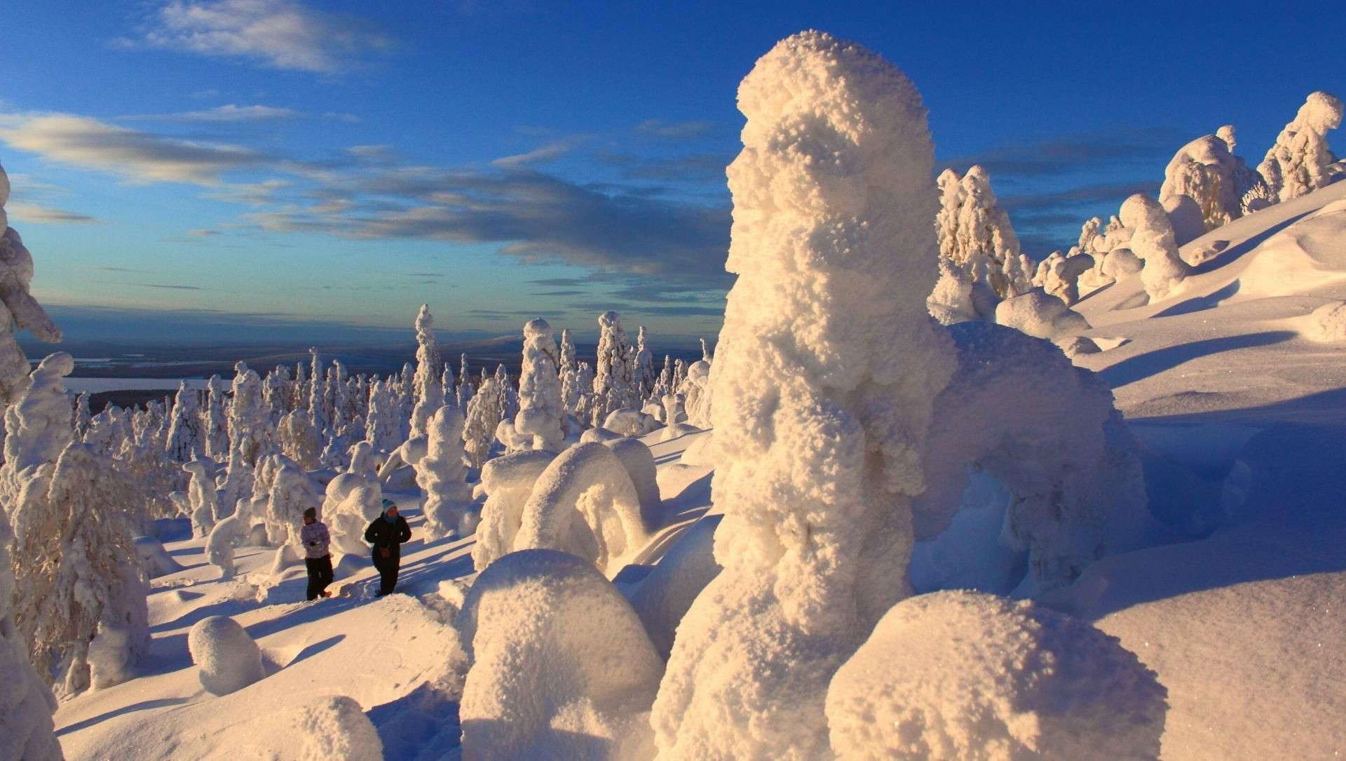 Alberi brinati, mostri di neve nella taiga - Lapponia - Finlandia