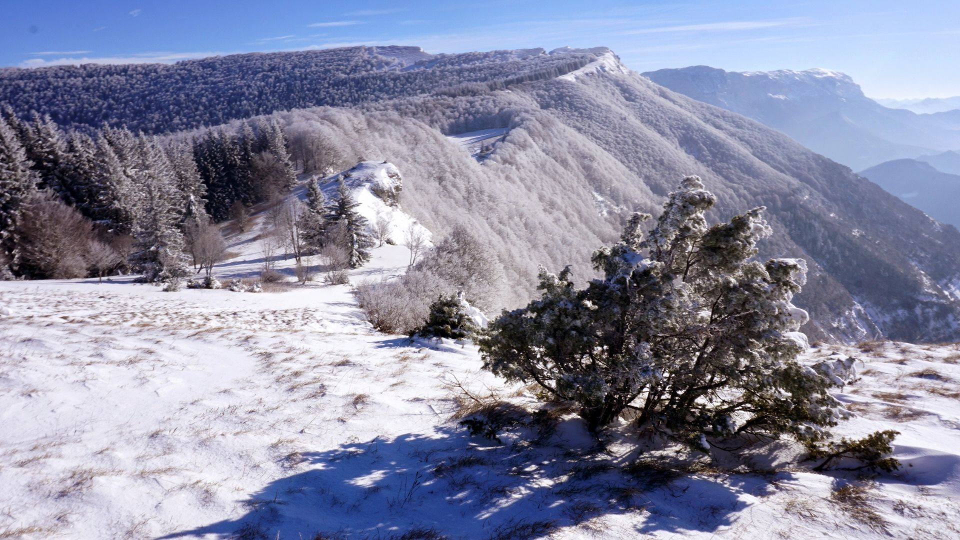 Gruppo attraversa un altopiano innevato - Vercors - Francia