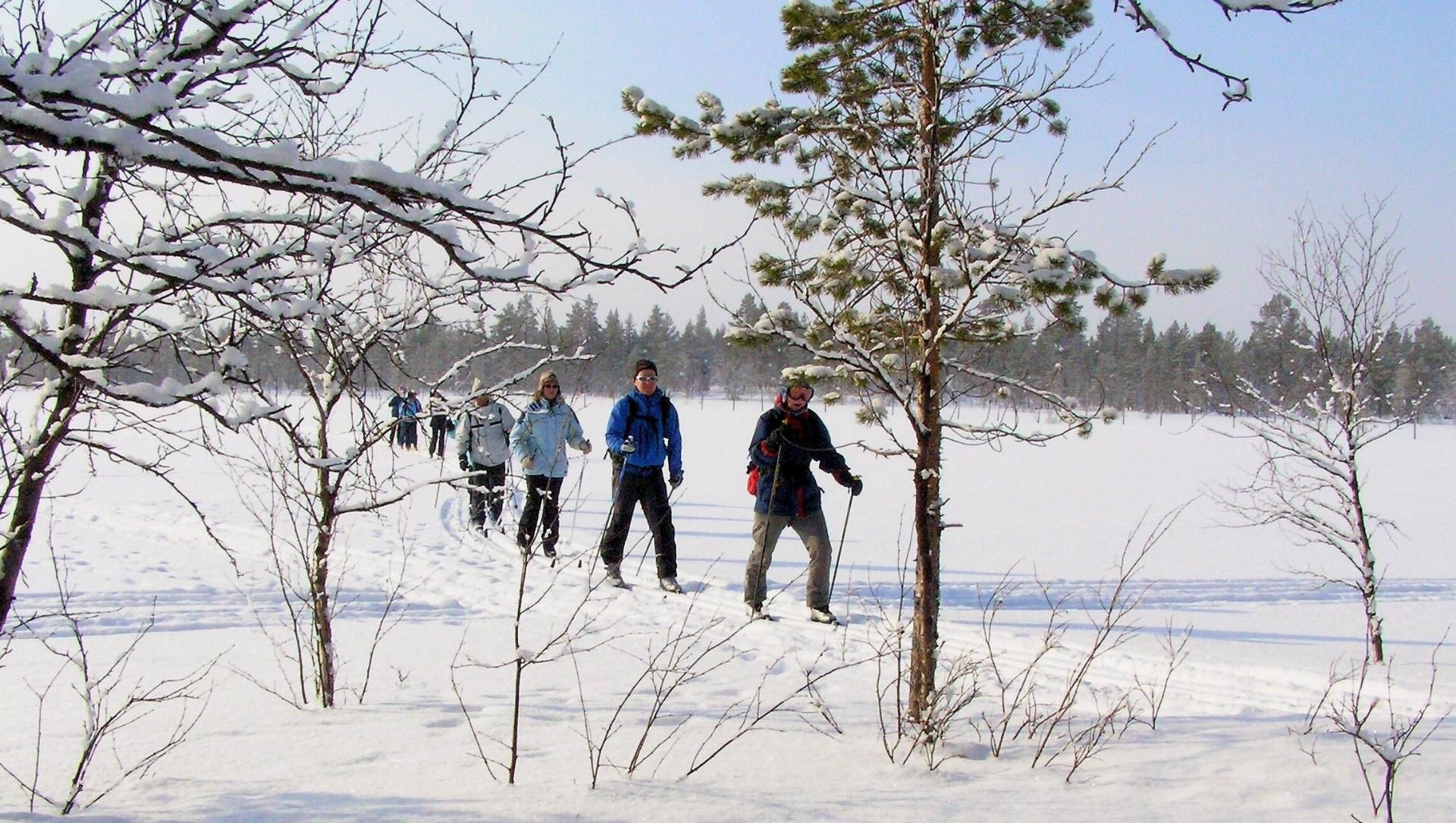 Gruppo di fondisti su un lago ghiacciato - Lapponia - Finlandia