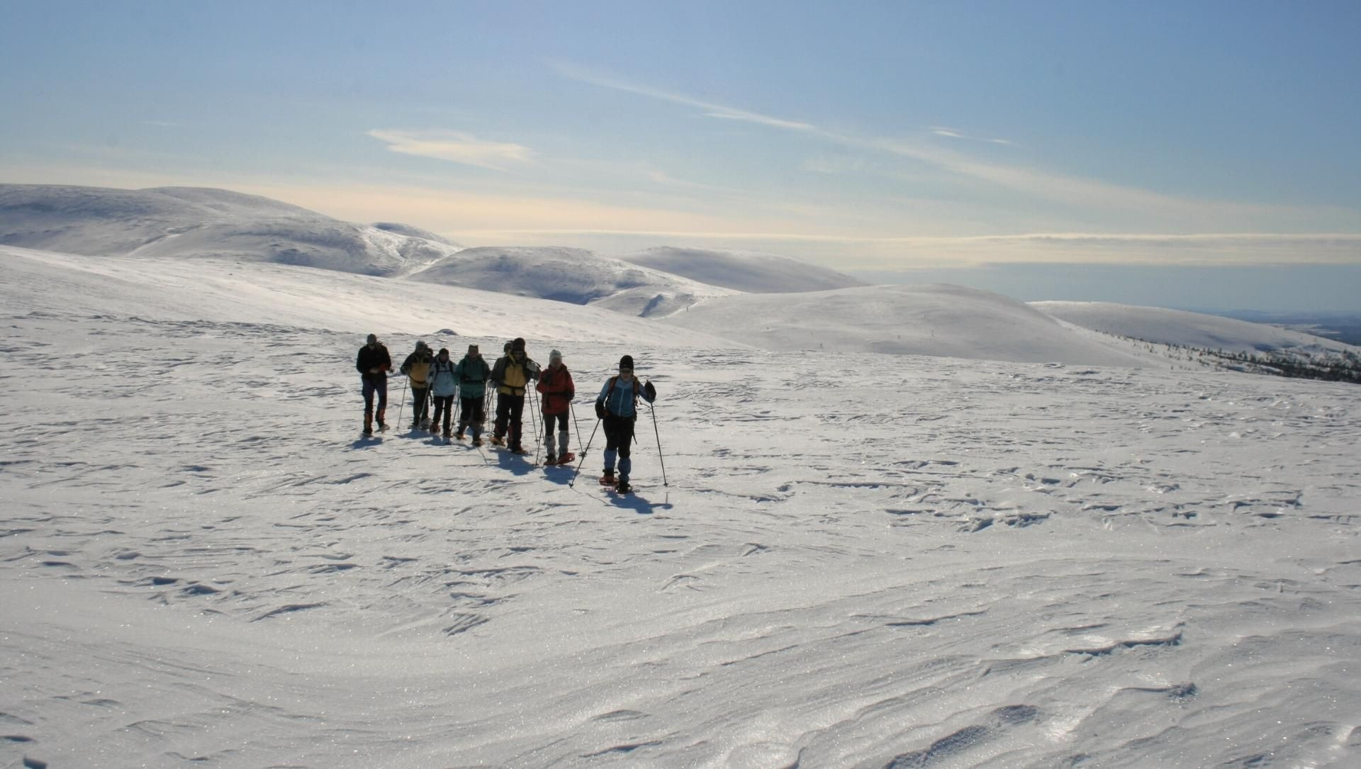Gruppo con le ciaspole nella Lapponia finlandese - Lapponia - Finlandia
