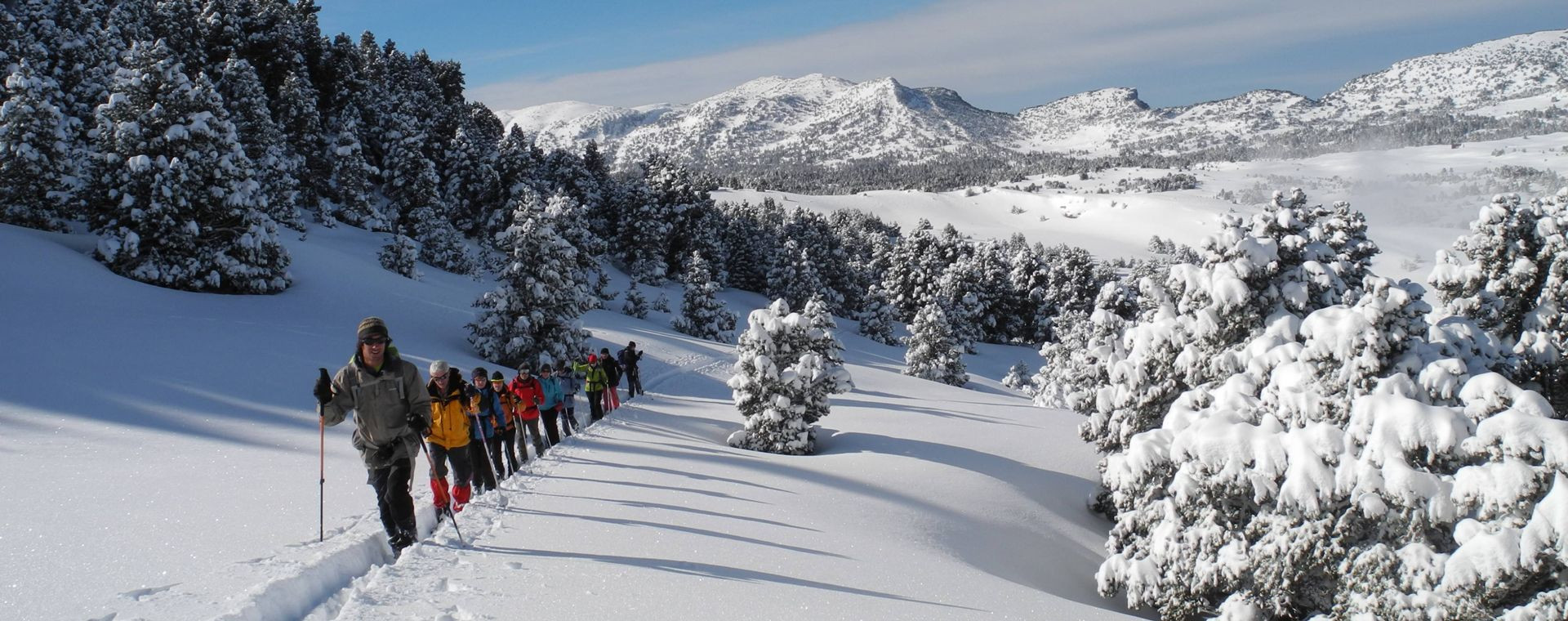 Gruppo con le ciaspole nella neve - Vercors - Francia