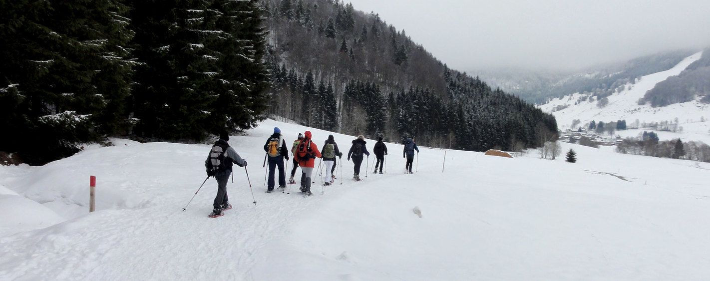 Gruppo con le ciaspole nella neve - Foresta Nera - Germania