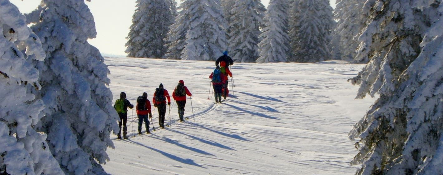 Gruppo di sciatori di fondo nella foresta innevata - Giura - Francia