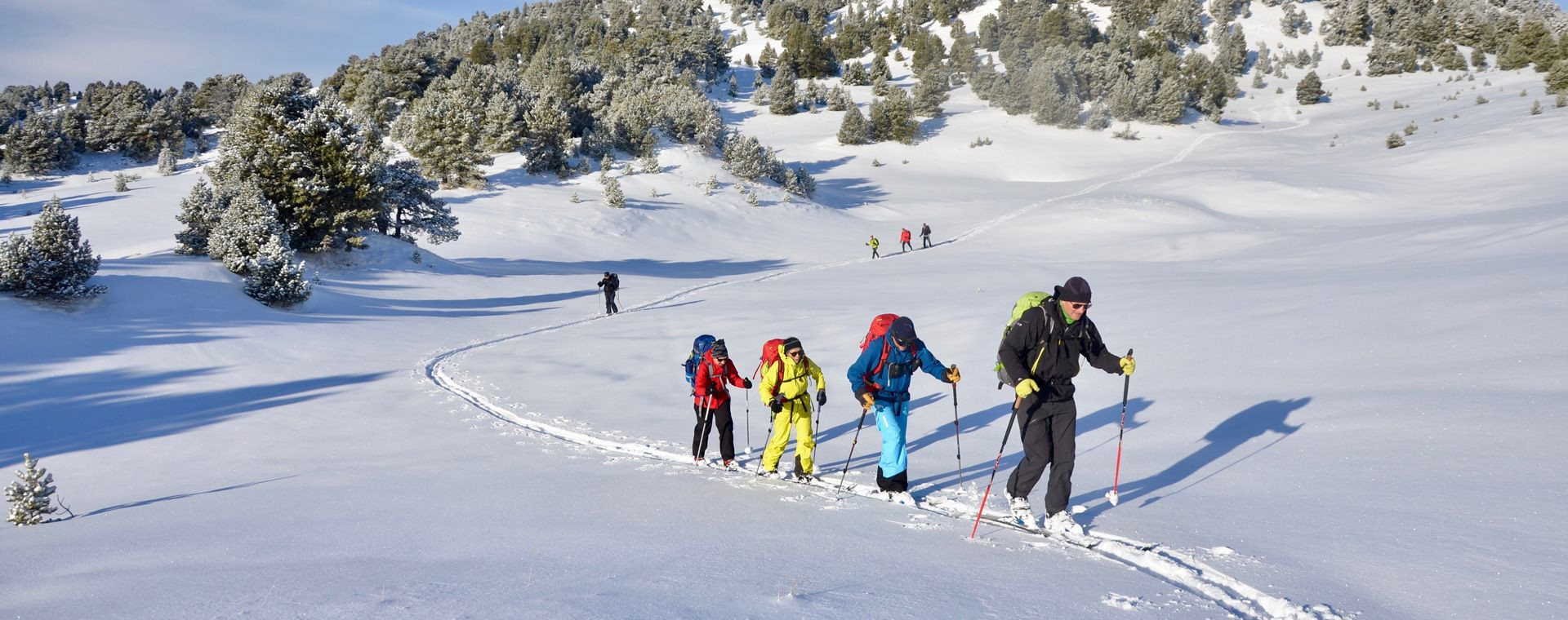 Gruppo di sci alpinisti sugli altopiani innevati - Vercors - Francia