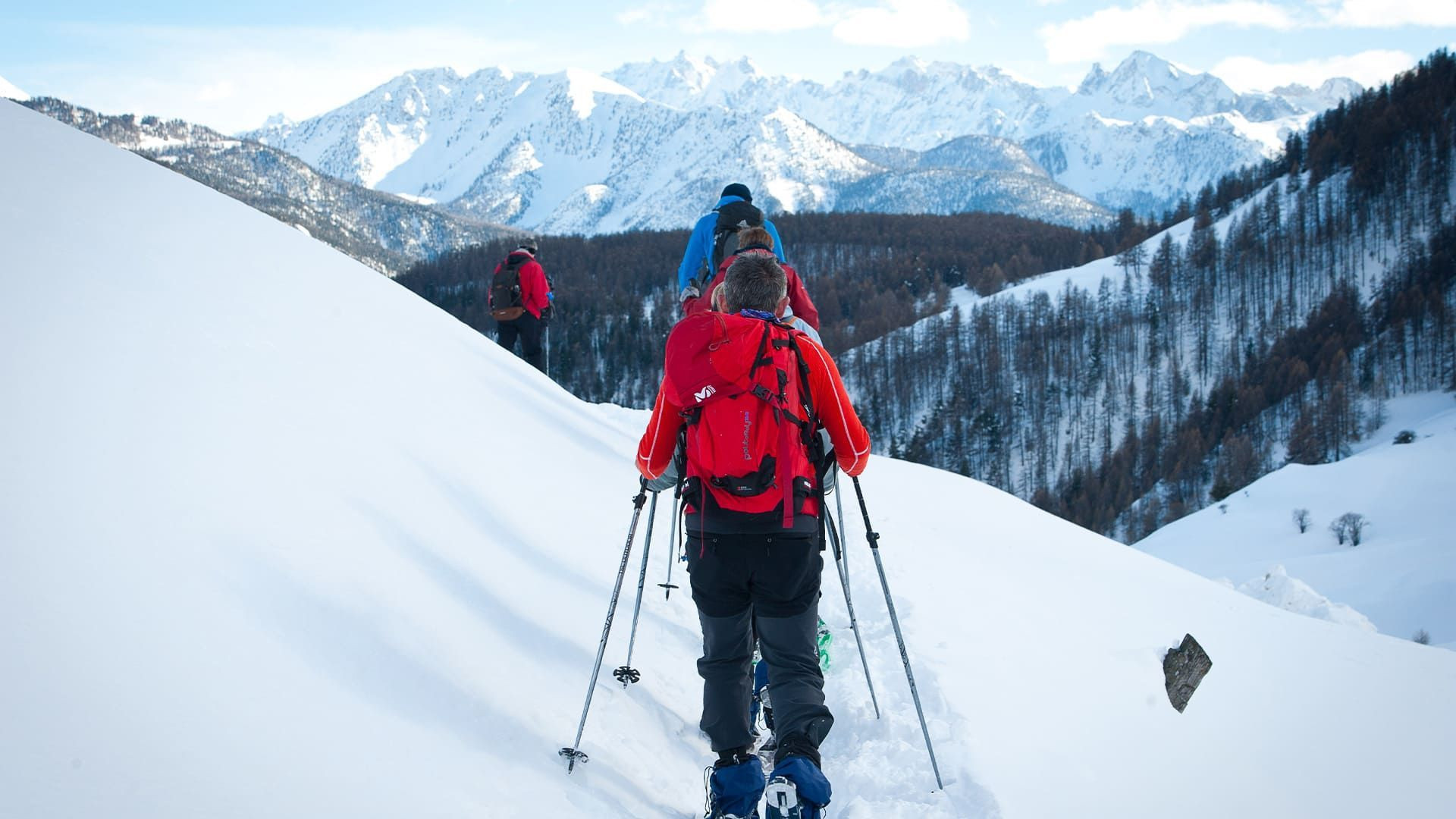 Gruppo con le ciaspole sopra i larici - Alpi meridionali - Francia