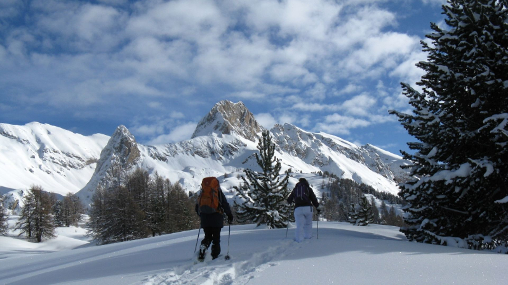 Escursionisti con le racchette da neve verso le cime - Queyras - Alpi - Francia