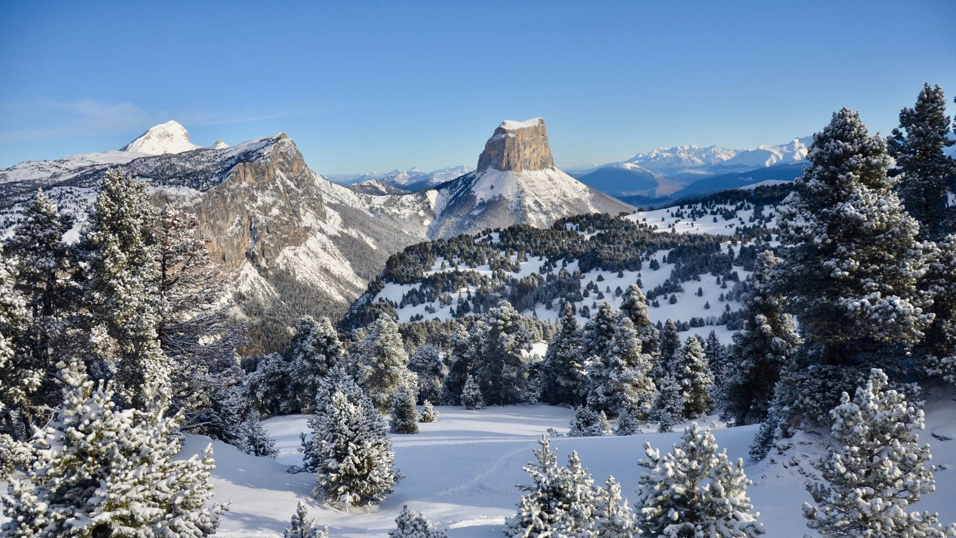 Mont Aiguille innevato visto dagli abeti brinati - Hauts Plateaux del Vercors - Francia