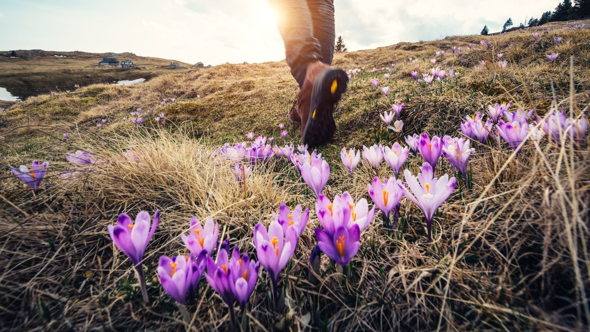 Dove fare trekking ad aprile? La nostra selezione dei più bei itinerari