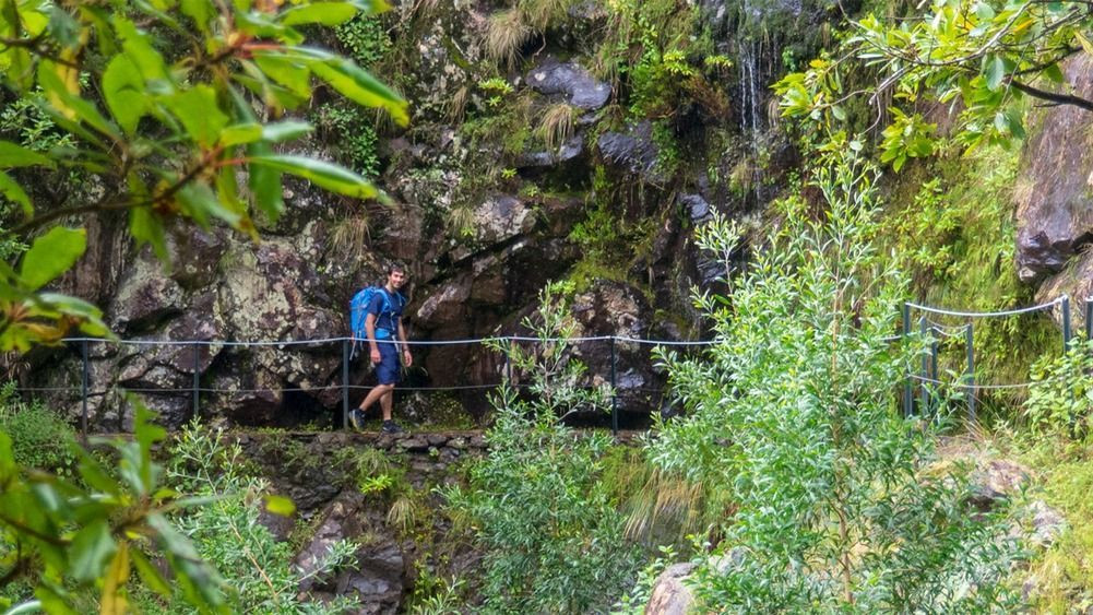 Escursionista su una levada nella foresta - Madeira - Portogallo