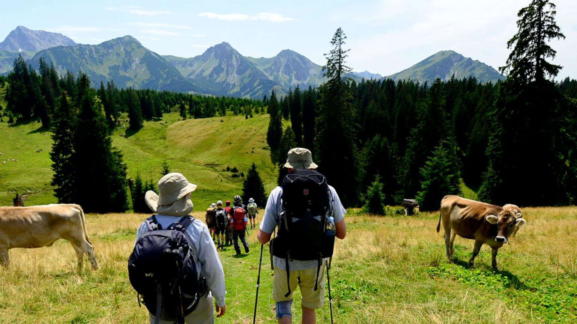 Randonneurs traversant un alpage parmi les vaches - Trek de Munich au lac de Côme - Alpes