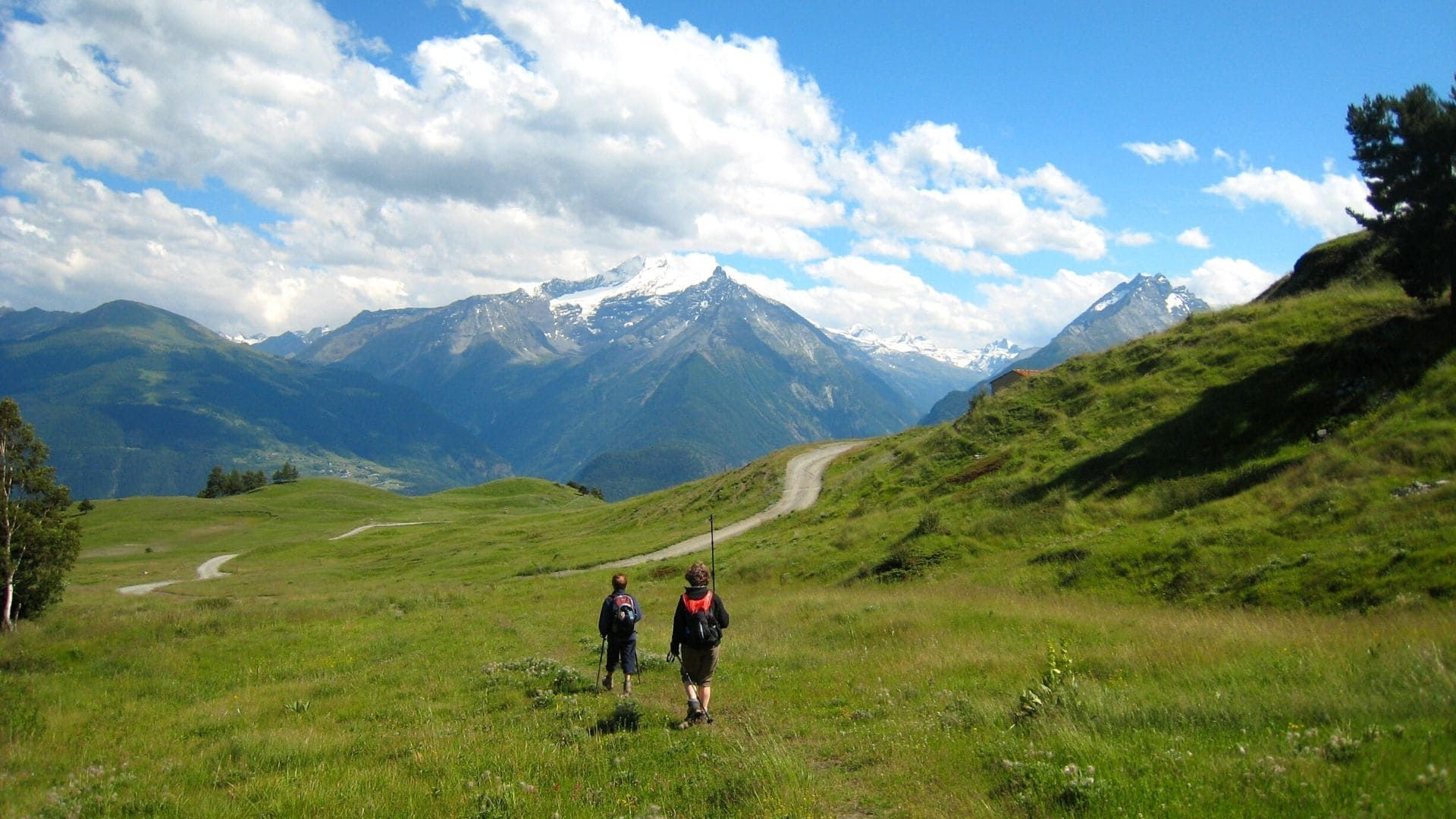 Randonneurs sur les alpages du Grand Paradis - Val d'Aoste - Italie