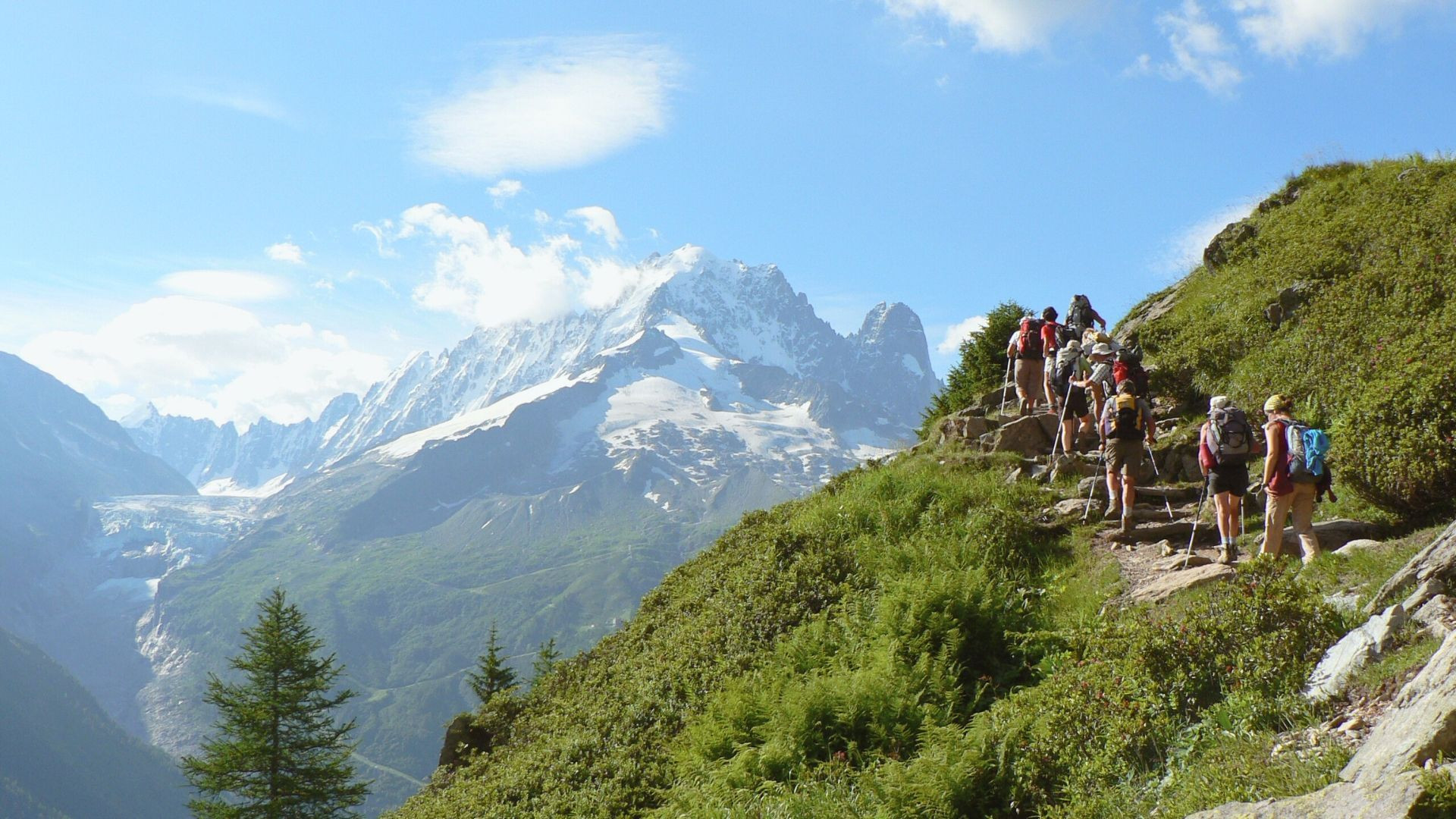 Randonneurs sur le sentier face à l'Aiguille Verte - Tour du Mont-Blanc - France
