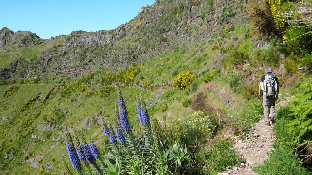 Escursione verso la Levada de Lombo do Mouro - Madeira - Portogallo