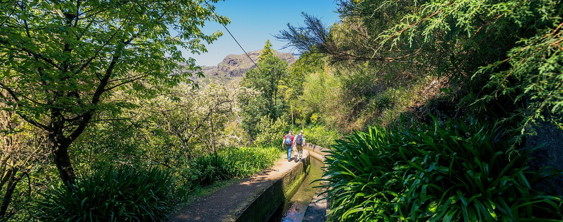 Escursione sul Caminho Real da Encumeada - Madeira - Portogallo