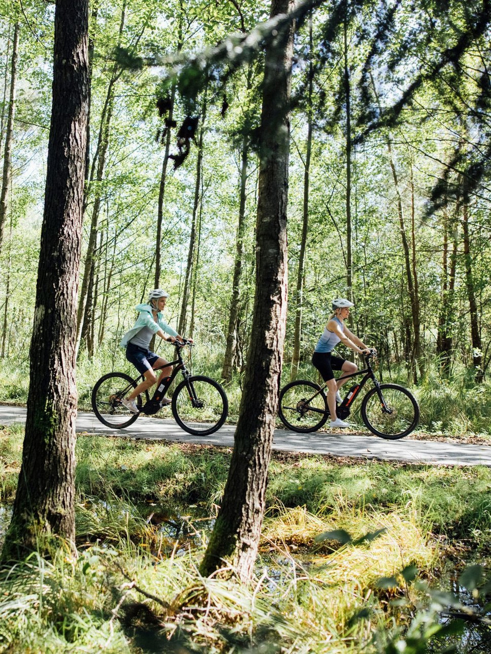La bici a pedalata assistita