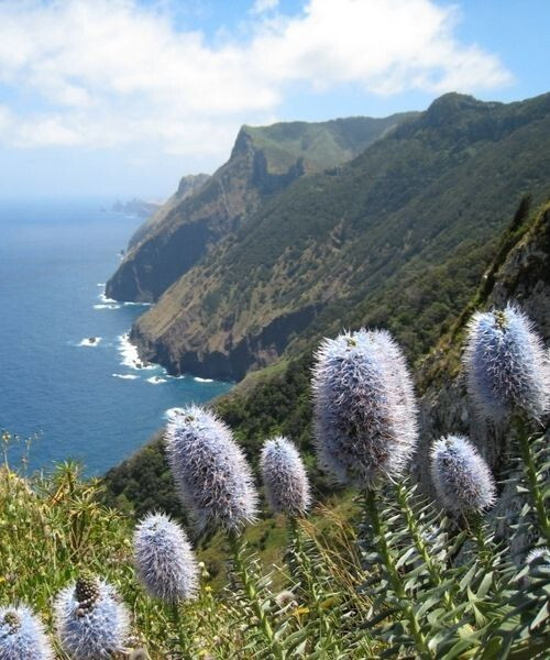 © Manuel Spinosa Giorno 3: sentiero della costa settentrionale di Madeira