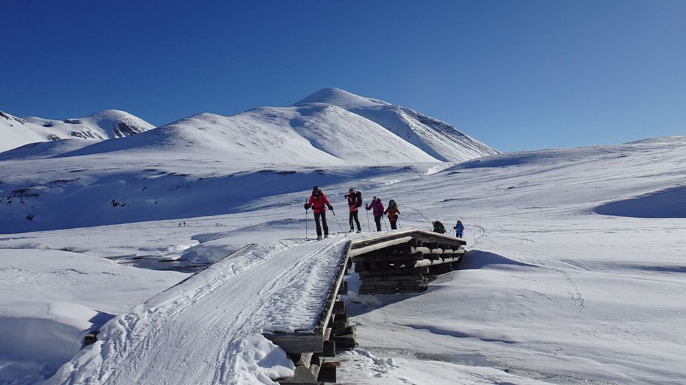 J7 - Sci nordico a Rondane