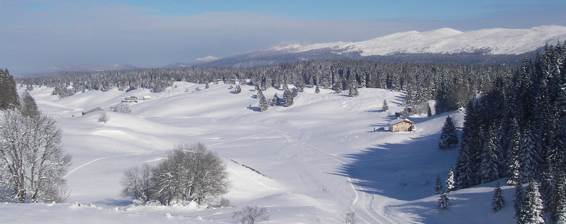 Altopiano innevato e foreste in inverno - Giura - Francia