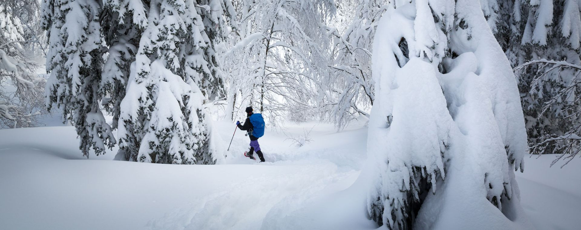 Escursionista con le ciaspole nella foresta innevata - Giura - Francia