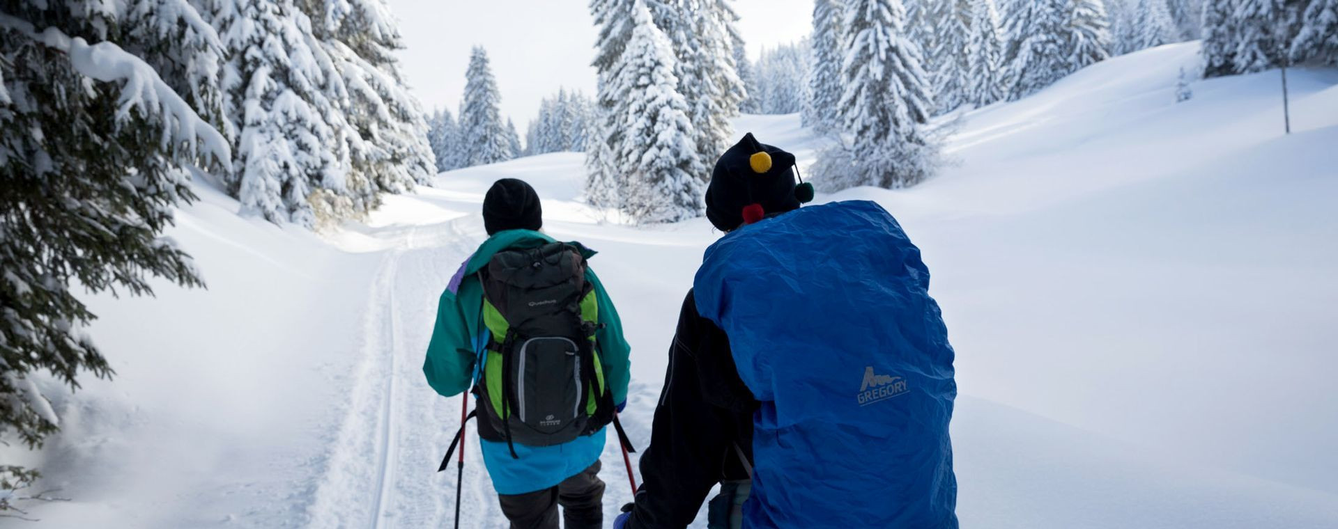 Escursionisti con le ciaspole nella foresta innevata - Giura - Francia