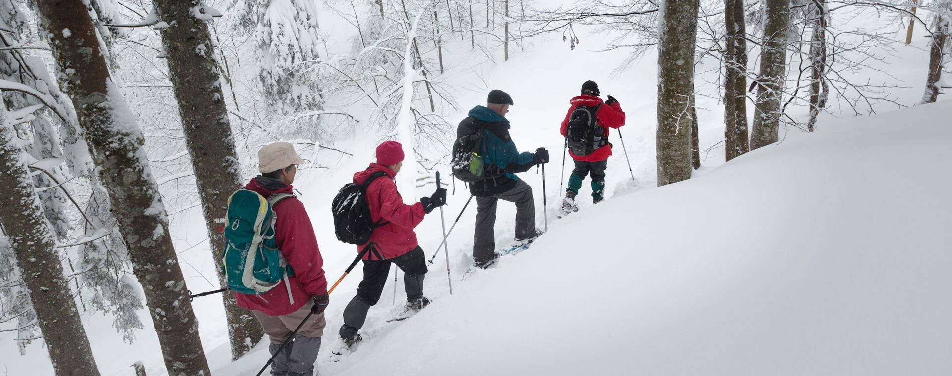 Escursionisti con le racchette da neve nel bosco innevato - Giura - Francia
