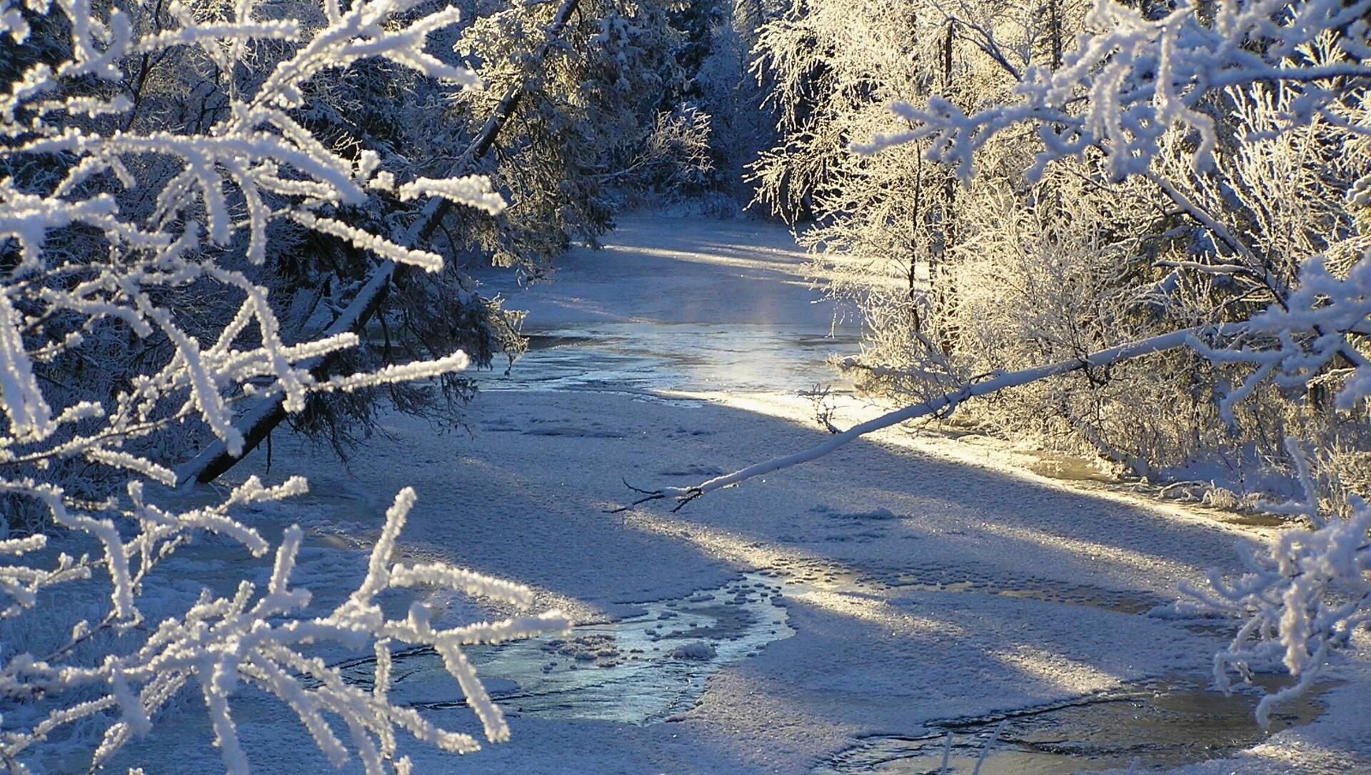 Fiume ghiacciato fiancheggiato da alberi brinati - Lapponia finlandese - Finlandia