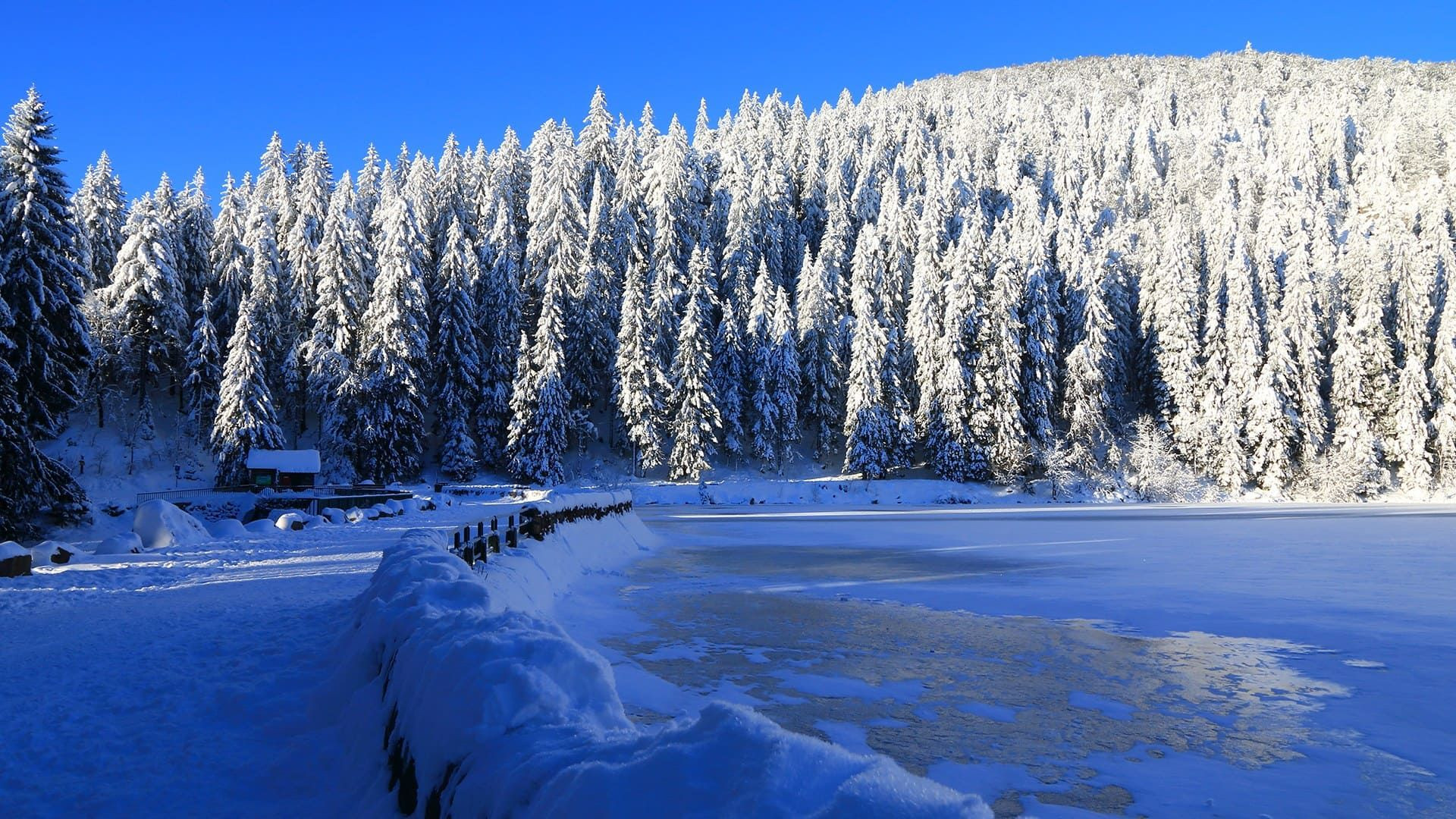 © Adobe Stock Lago ghiacciato fiancheggiato da abeti innevati in inverno - Francia