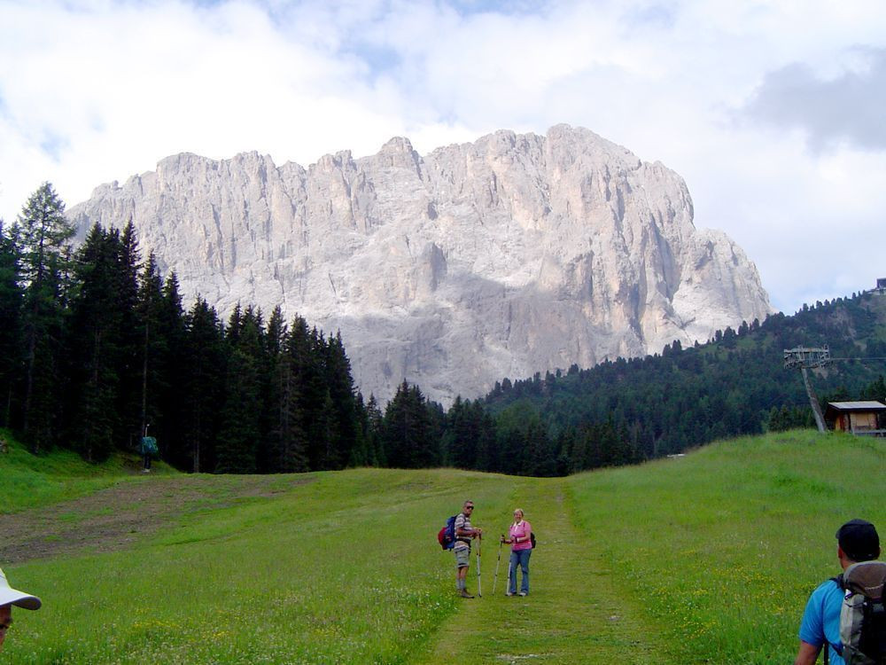 Il Sassolungo visto dalla Val Gardena, Dolomiti