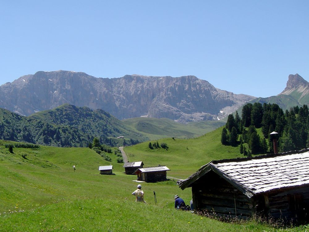 Gli alpeggi dell'Alpe di Siusi verso il rifugio Zallinger, Dolomiti