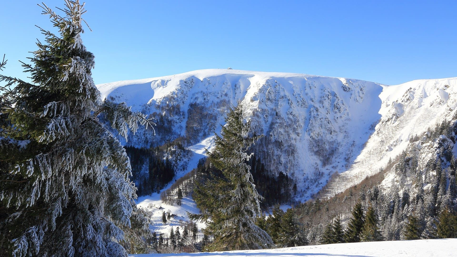 © Adobe Stock Abeti brinati e circo innevato - Vosgi - Francia