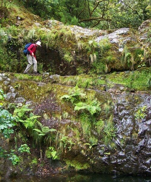 Levada do Caldeirão Verde