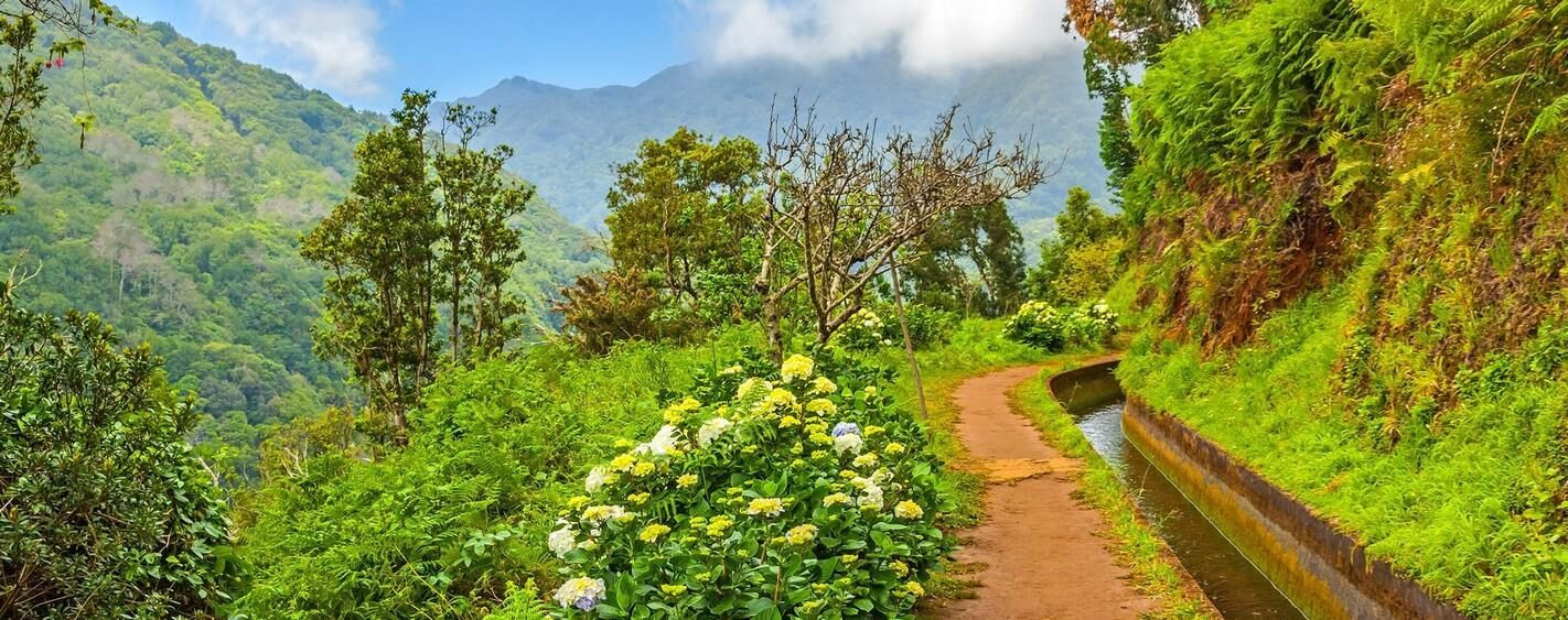 Levada a Madeira - Portogallo