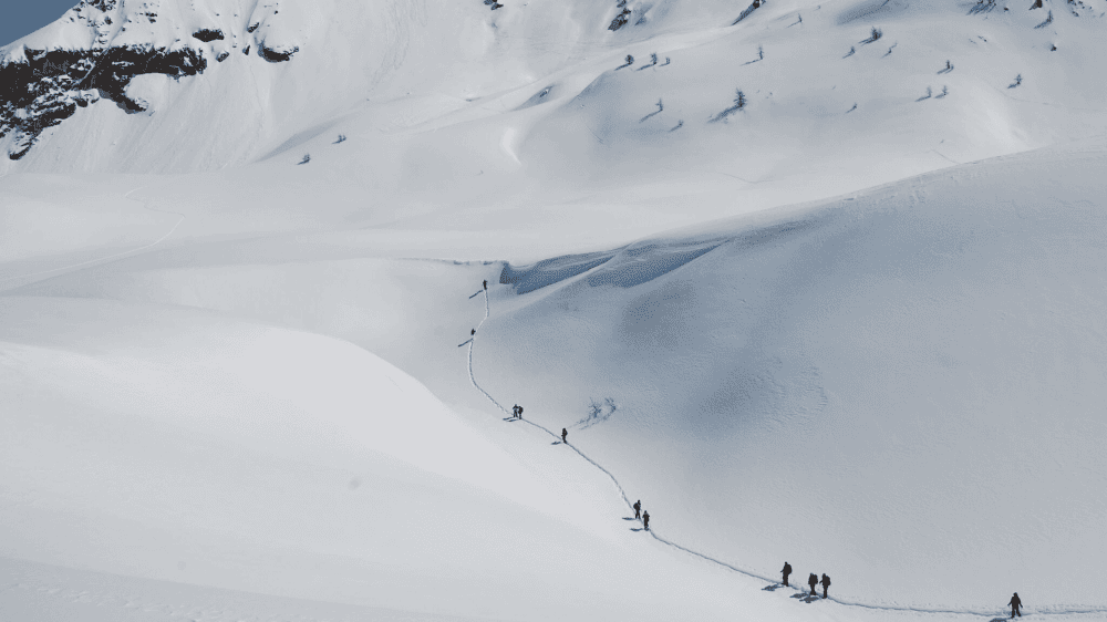Fila di escursionisti con le racchette da neve sui pendii innevati - Queyras - Francia