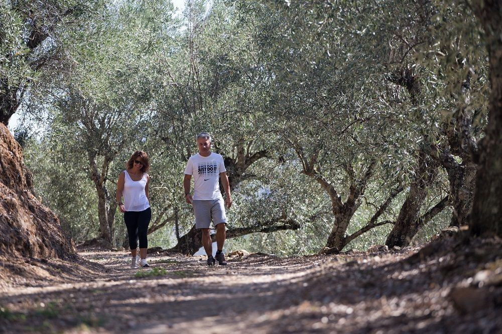 © Authentic Trails Camminatori tra gli ulivi della valle del Douro - Portogallo