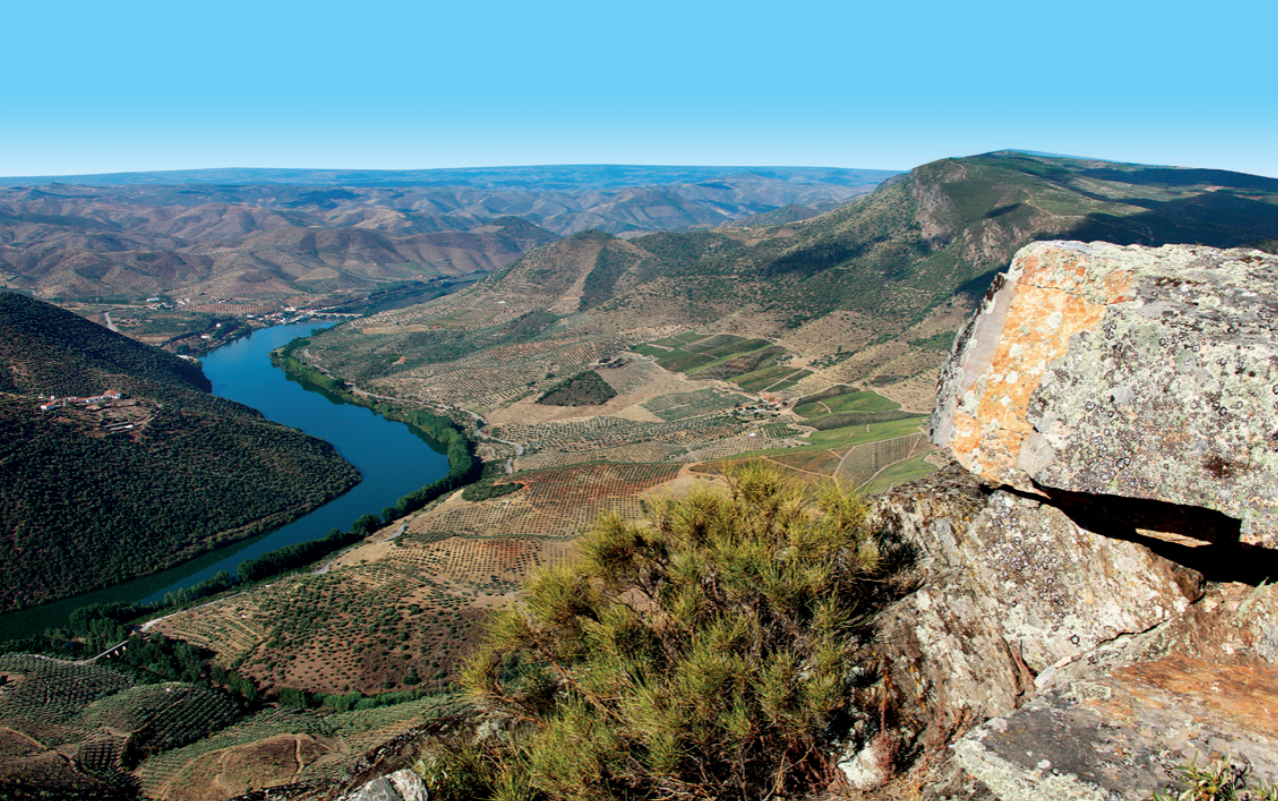 Ansa del Douro e vigneti terrazzati - Portogallo