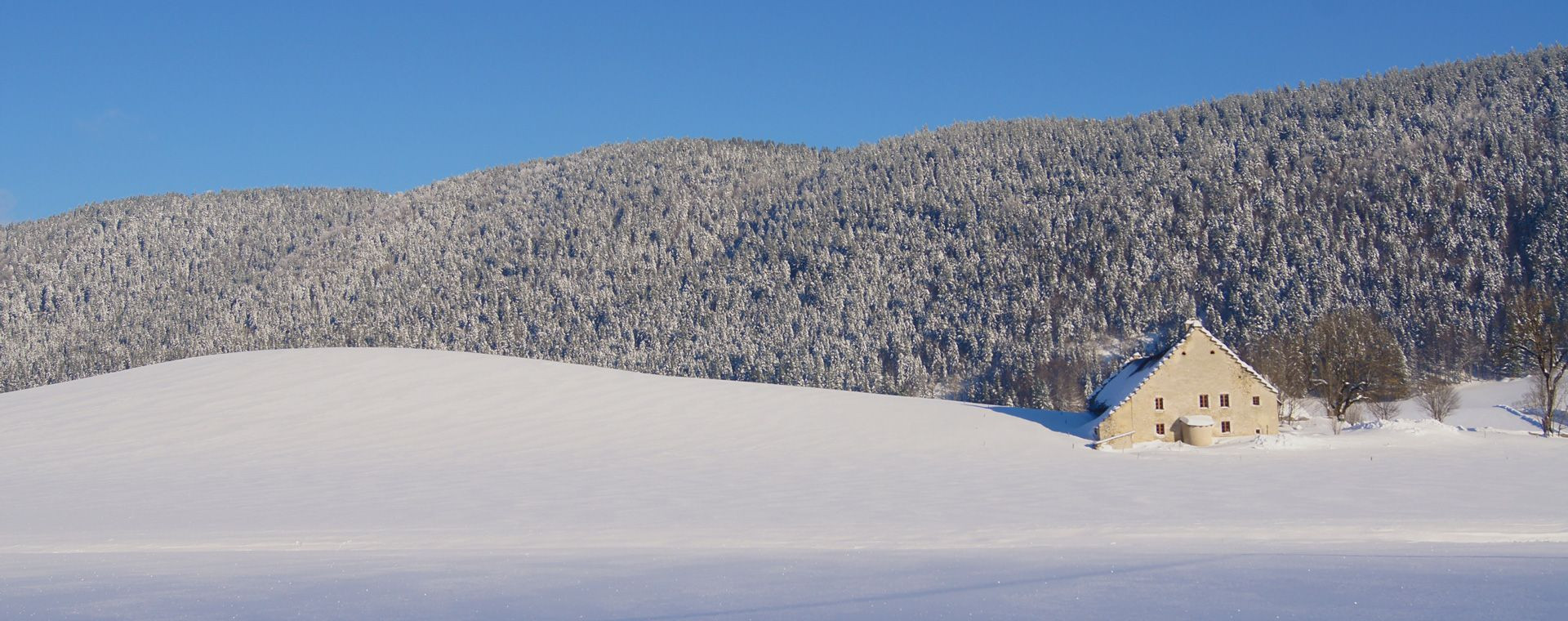 Fattoria innevata e bosco - Méaudre - Vercors