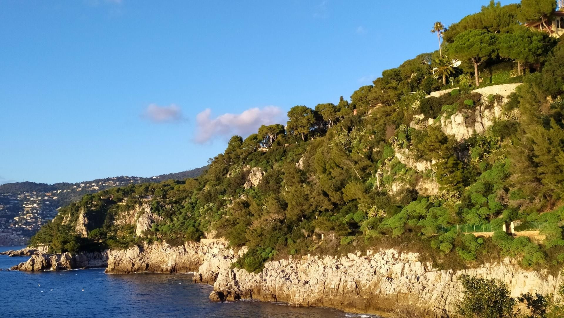 Costa rocciosa boscosa sul Mediterraneo - Riviera - Francia