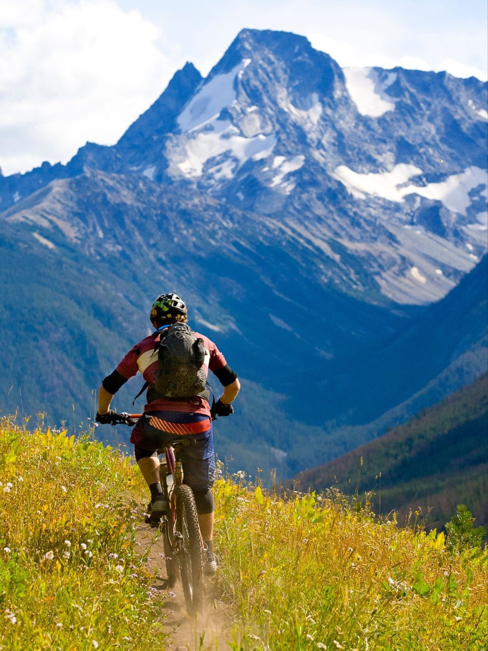 La mountain bike