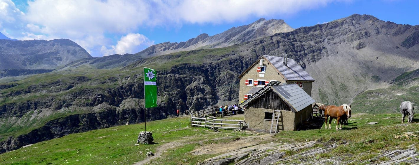 Refuge de montagne et chevaux en alpage - Alpes - Autriche
