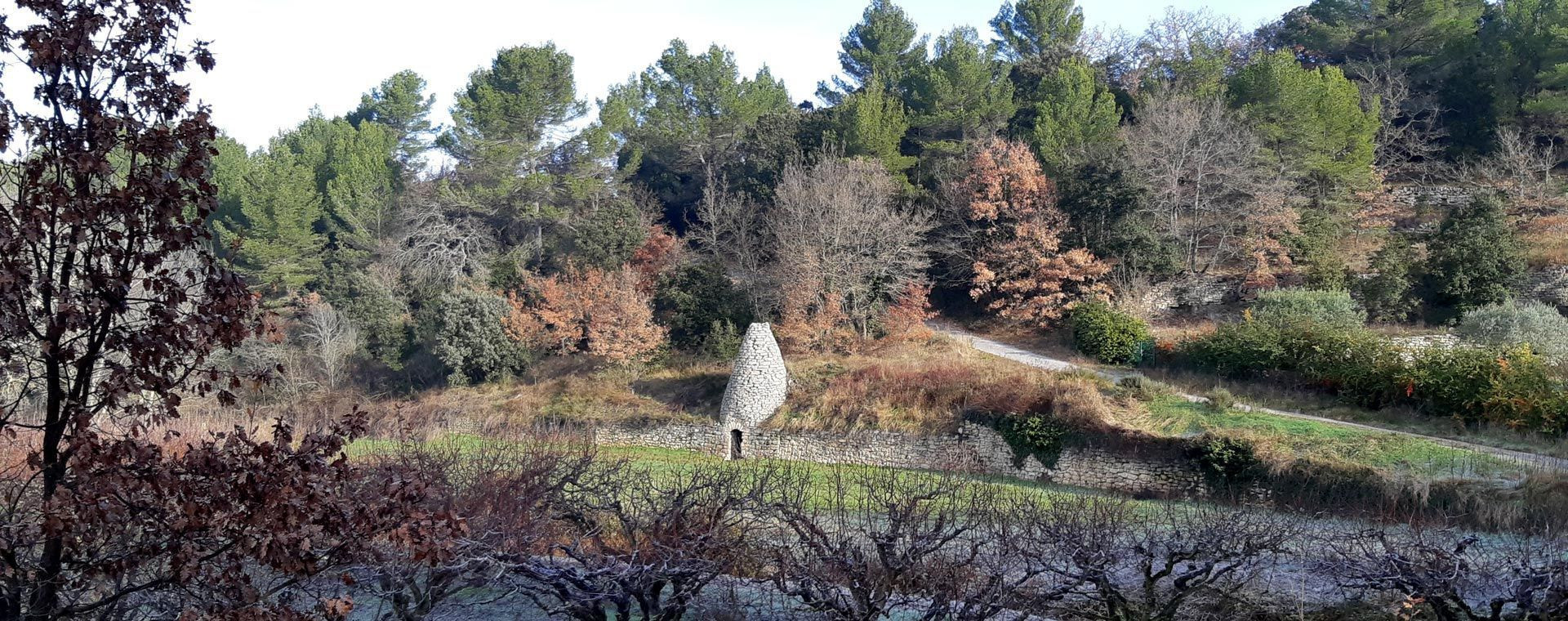 Borie in pietra a secco nella gariga boscosa - Luberon - Provenza
