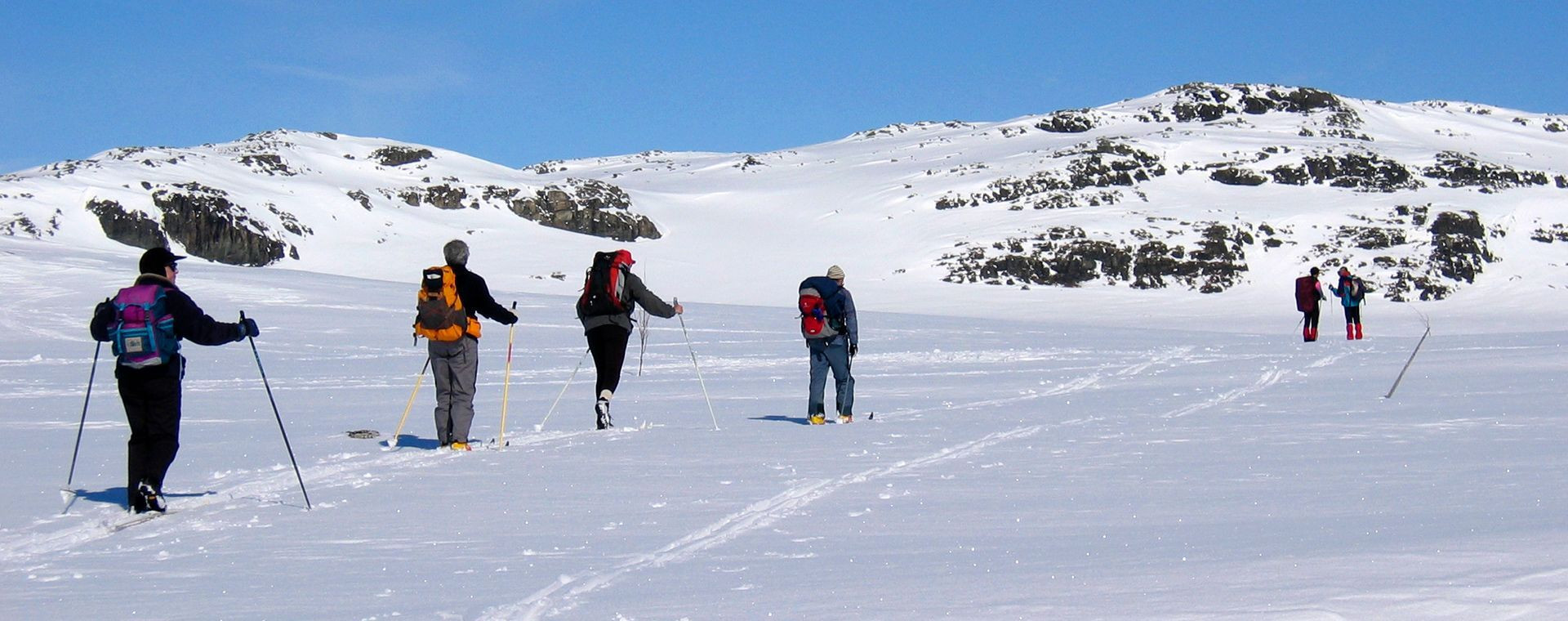 Sci di fondo escursionistico sugli altopiani innevati - Norvegia