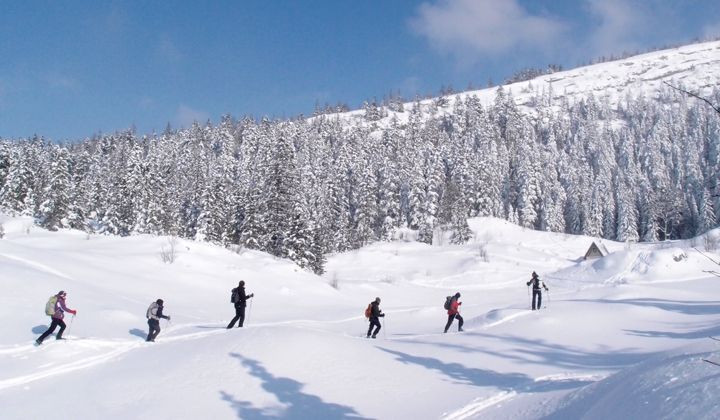 Sci alpinismo nordico sulle creste del Vercors settentrionale - Vercors - Francia