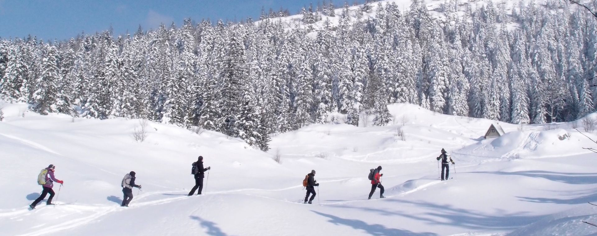 Sci di fondo escursionistico sulle creste del Vercors - Francia