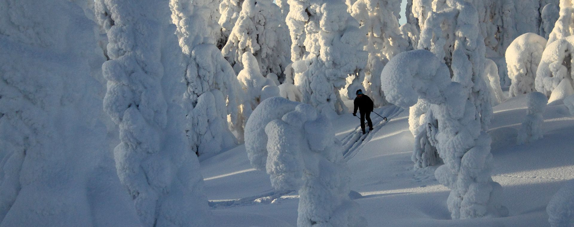 Sci di fondo escursionistico - Pallas-Yllästunturi - Lapponia - Finlandia